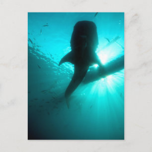 Silhouette Postkarte