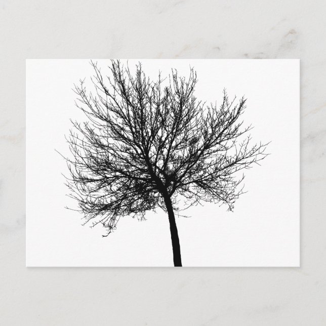 Silhouette Postkarte (Vorderseite)