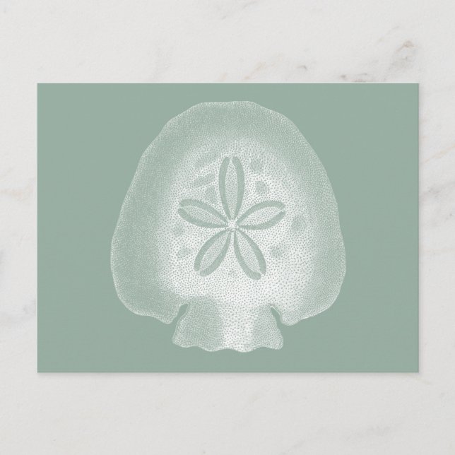 Silhouette-Sand-Dollar Postkarte (Vorderseite)