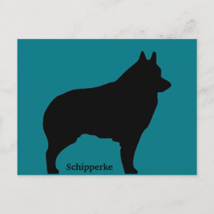 Silhouette Schipperke Postkarte