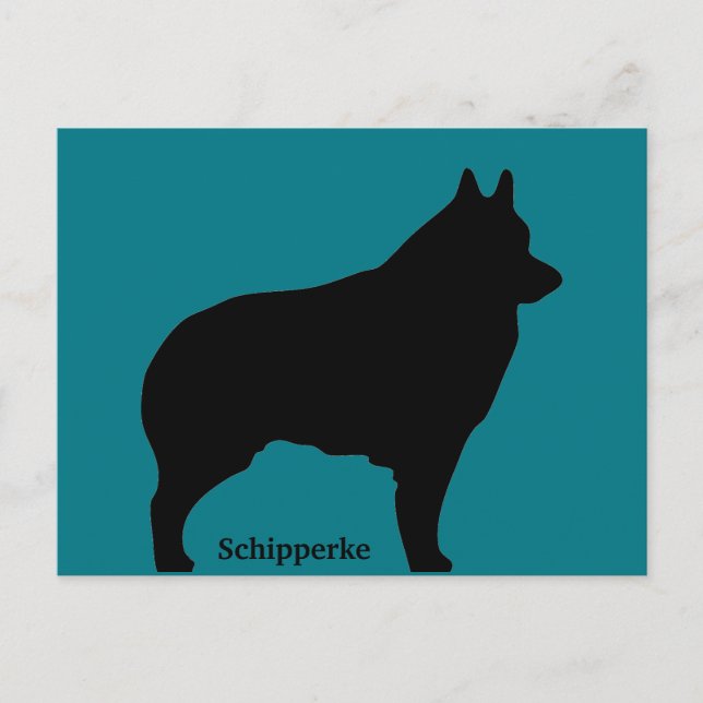 Silhouette Schipperke Postkarte (Vorderseite)