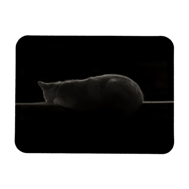 Silhouette Schlafkatze Magnet (Horizontal)