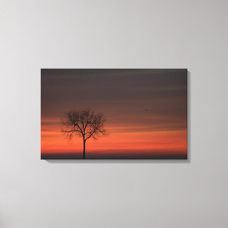 Silhouette Tree Stretched Canvas Print Leinwanddruck