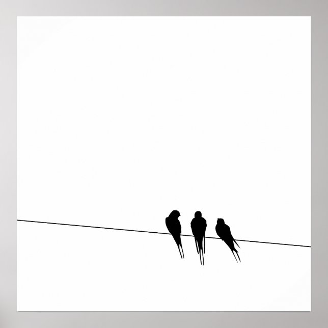 Silhouette von Blackbirds auf Wire Poster (Vorne)