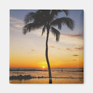 Silhouette von einer Palme durch einen roten Magnet