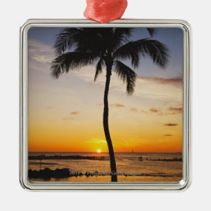 Silhouette von einer Palme durch einen roten Ornament Aus Metall