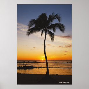 Silhouette von einer Palme durch einen roten Poster