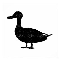 Silhouette von Enten
