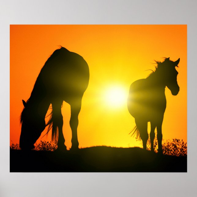 Silhouette von zwei Pferden bei Sonnenuntergang Poster (Vorne)