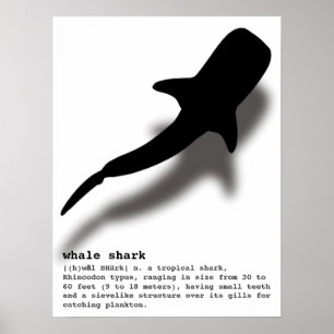 Silhouette Whale Shark mit Definition Beach Poster