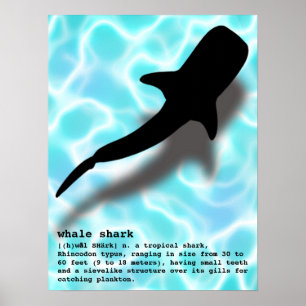 Silhouette Whale Shark mit Definition Beach Poster