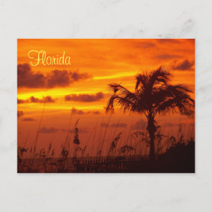 Silhouetten Floridas Postkarte
