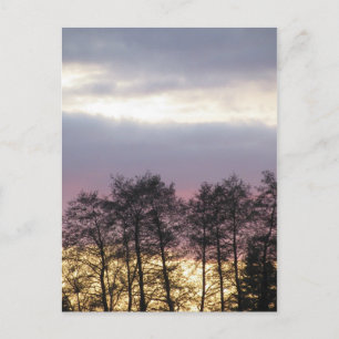 Silhouetten in der Abenddämmerung Postkarte