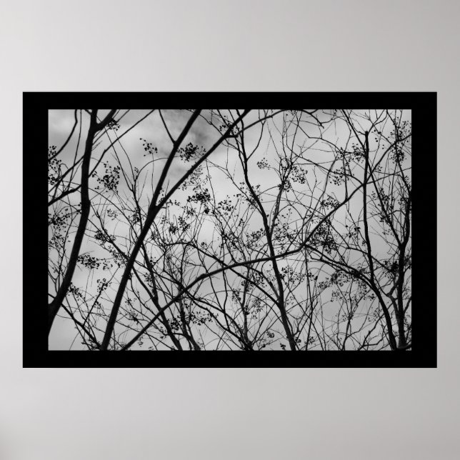 Silhouetten Poster (Vorne)