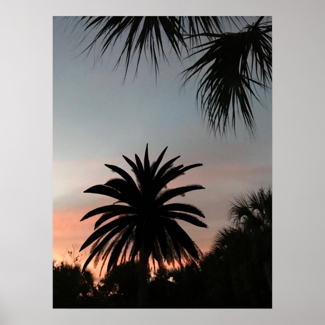 Silhouetten von Palmfronten bei Sonnenuntergang Poster (Vorne)