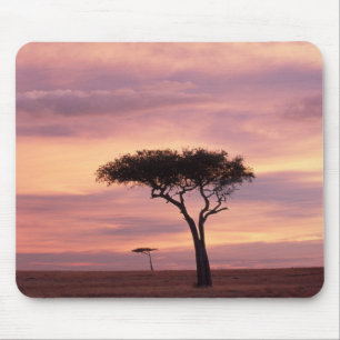 Silhouettenbild eines Akazienbaums bei Sonnenaufga Mousepad