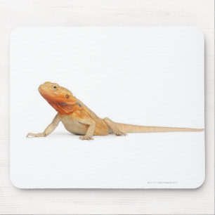 SilkBacks scaleless bärtiger Drache - Pogona Mousepad