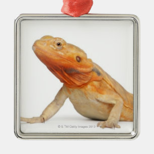 SilkBacks scaleless bärtiger Drache - Pogona Ornament Aus Metall