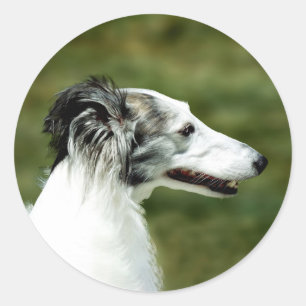 Silken Windhound A Runder Aufkleber