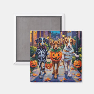 Silken Windhound-Hunde in Halloween-Kostümen Magnet