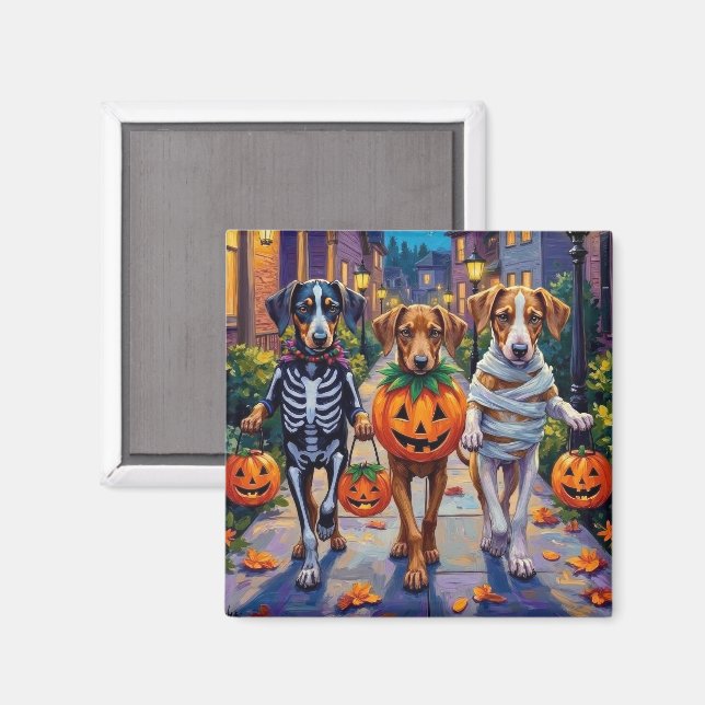 Silken Windhound-Hunde in Halloween-Kostümen Magnet (Vorderseite/Rückseite)