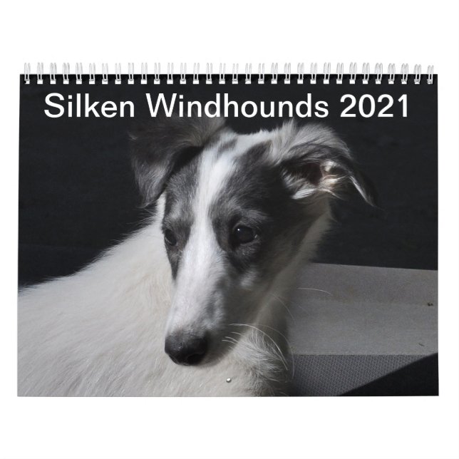 Silken Windhunden 2021 Welpen Kalender (Titelbild)