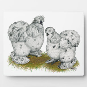 Silkie Bantam Splash Chickens Fotoplatte