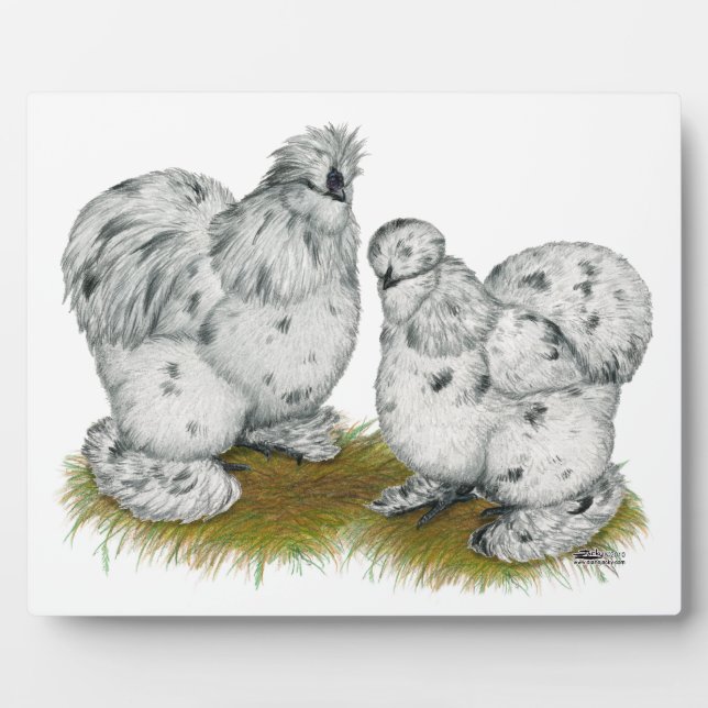 Silkie Bantam Splash Chickens Fotoplatte (Vorderseite)