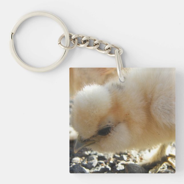Silkie Chick Schlüsselanhänger (Vorderseite)