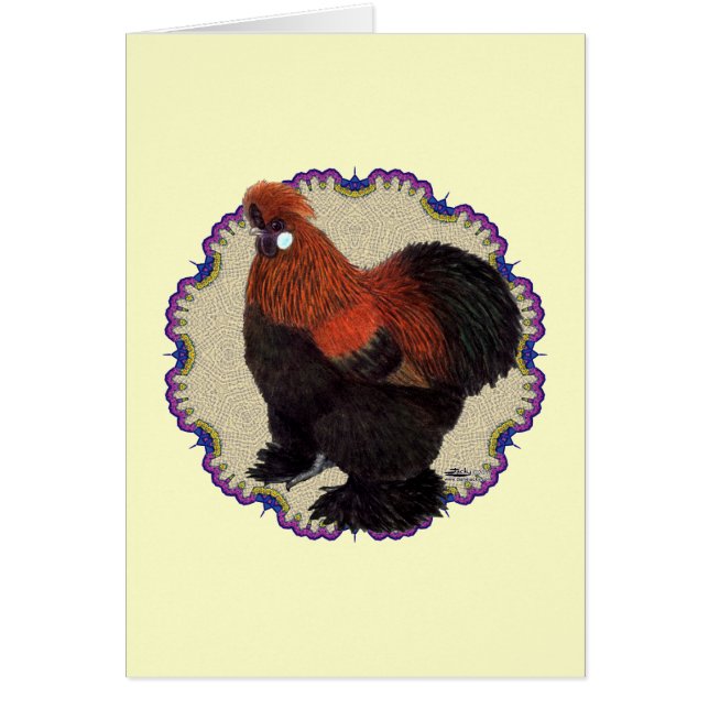 Silkie Circle (Vorne)