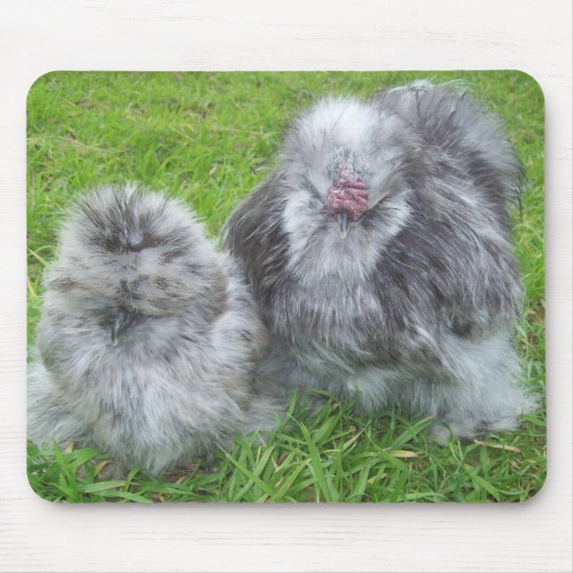 Silkie Huhn Mousepad (Vorne)
