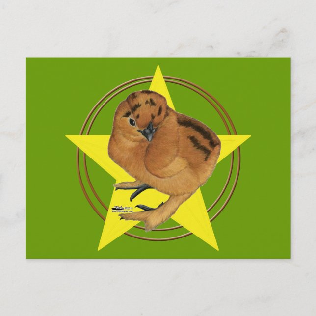Silkie Red Chick Star Postkarte (Vorderseite)