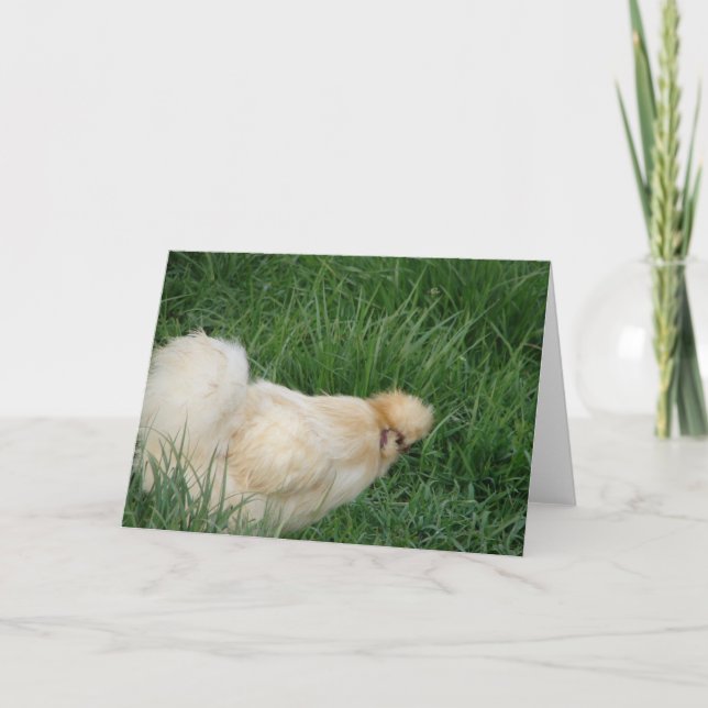 Silkie Rooster Karte (Vorderseite)