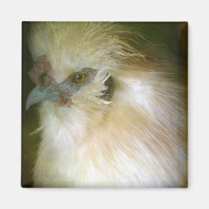 Silkie Rooster Magnet