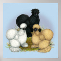 Silkie Trio