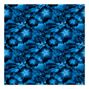 Silky Blue... Poster