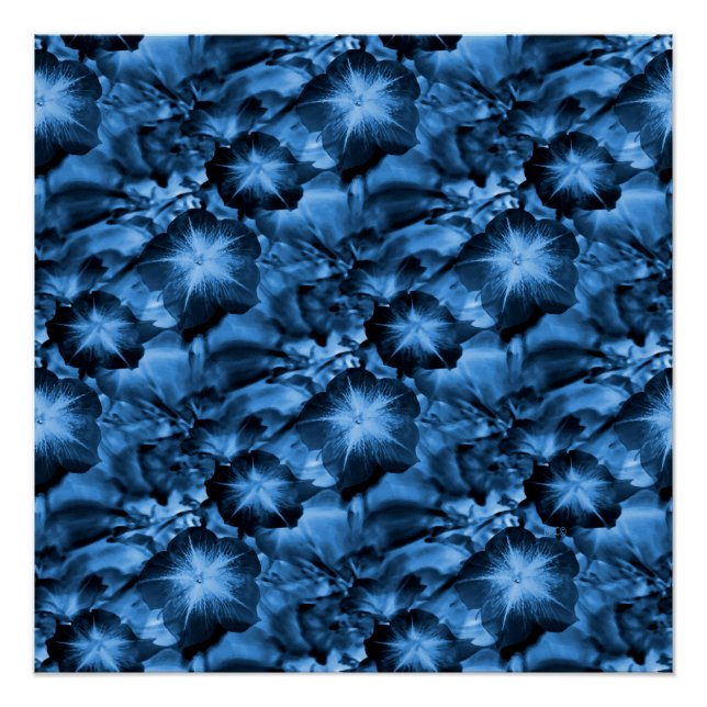 Silky Blue.. Poster (Vorderseite)