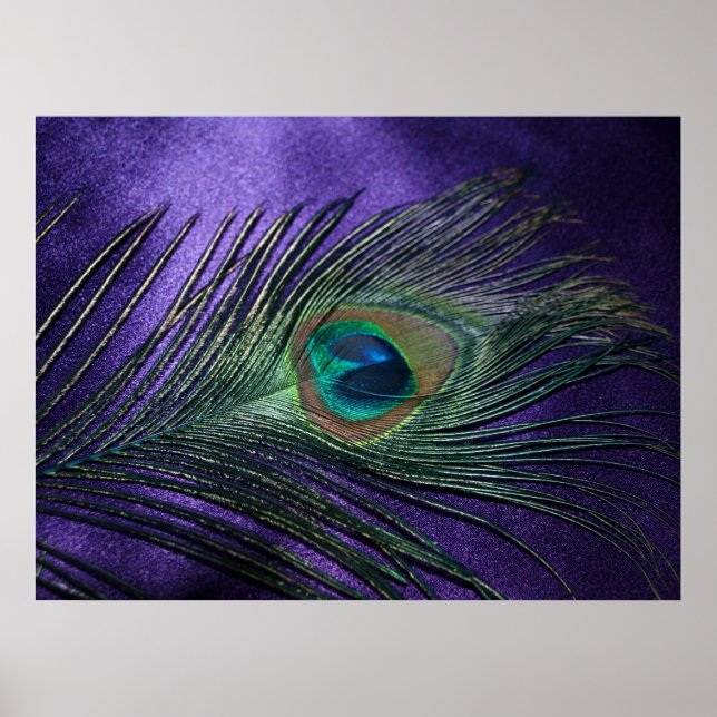 Silky Lila Peacock Feather Poster (Vorne)