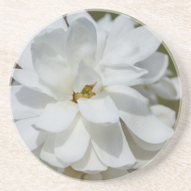 Silky Magnolia Getränkeuntersetzer (Vorne)