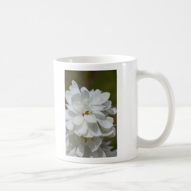 Silky Magnolia Kaffeetasse (Rechts)