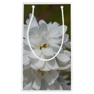 Silky Magnolia Kleine Geschenktüte