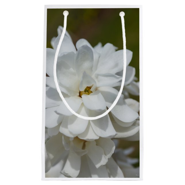 Silky Magnolia Kleine Geschenktüte (Vorderseite)