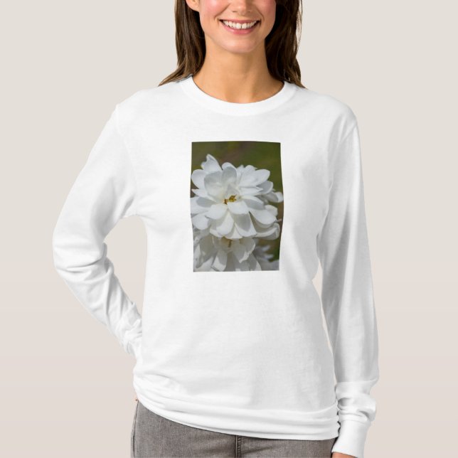 Silky Magnolia Long Sleeve T - Shirt (Vorderseite)