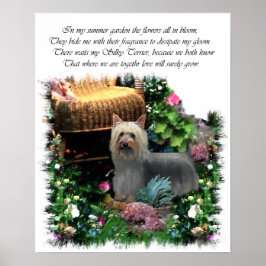 Silky Terrier Art Print Poster