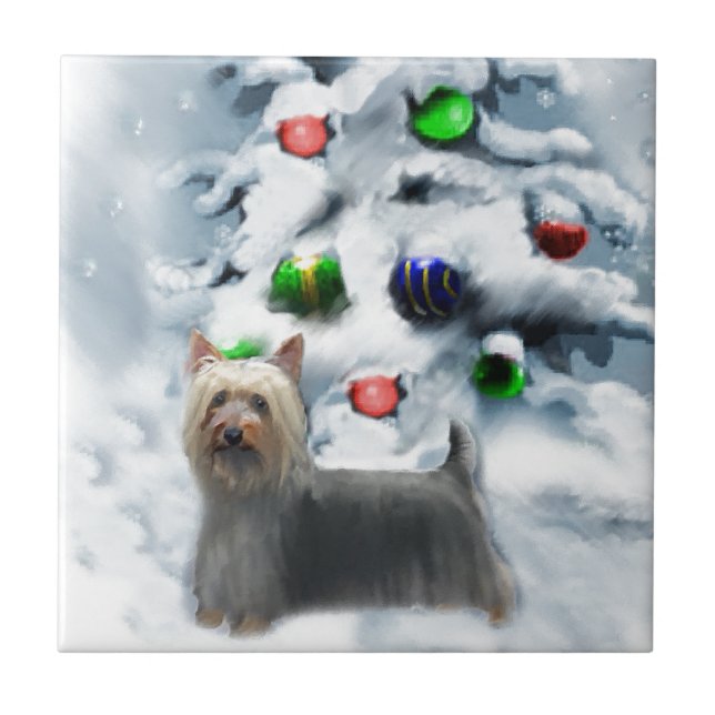 Silky Terrier Christmas Fliese (Vorderseite)
