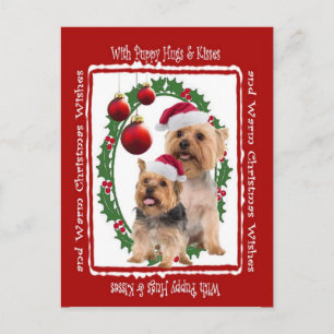 Silky Terrier Christmas Hugs and Kisses Postcard Feiertagspostkarte