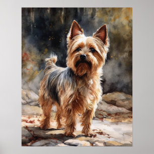 Silky Terrier Dog Art Print Poster