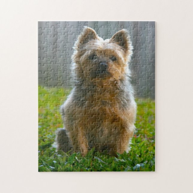 Silky Terrier Dog Jigsaws. Puzzle (Vertikal)