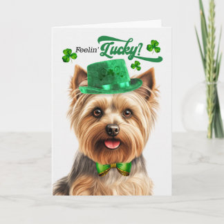 Silky Terrier fühlt sich am St. Patrick's Day glüc Feiertagskarte