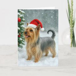 Silky Terrier Holiday Card Feiertagskarte